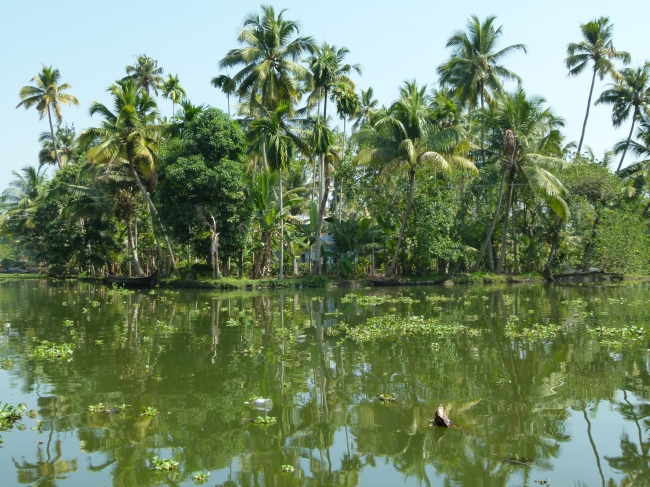 Aventura navegando los backwaters de Kerala